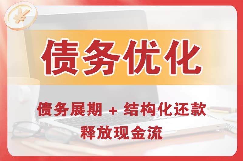 佳县债务优化