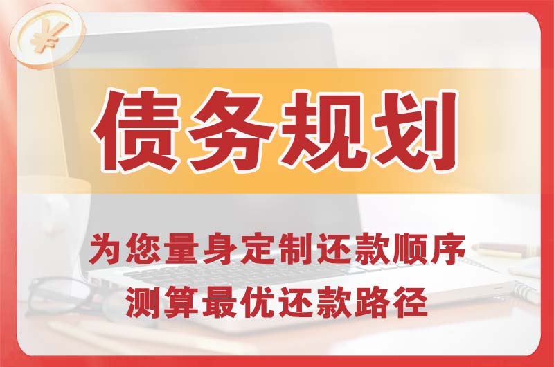 佳县债务规划